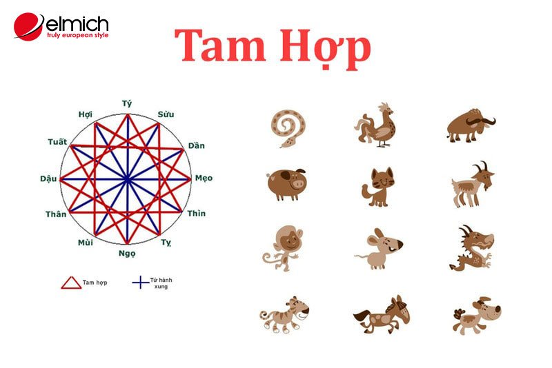 Hình 1: Tam hợp chia thành 4 nhóm, là những con giáp có sự tương đồng về vận mệnh, tính cách, quan niệm sống Hình 1: Tam hợp chia thành 4 nhóm, là những con giáp có sự tương đồng về vận mệnh, tính cách, quan niệm sống