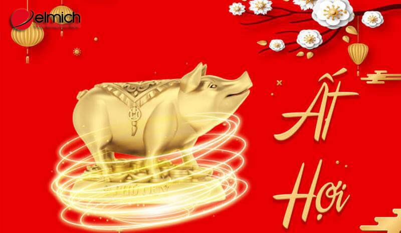 Hình 1: Thông tin cơ bản về người tuổi Ất Hợi 1995 Hình 1: Thông tin cơ bản về người tuổi Ất Hợi 1995