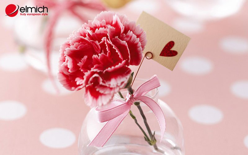 Hình 1: Hoa cẩm chướng với vẻ đẹp mong manh và quyến rũ Hình 1: Hoa cẩm chướng với vẻ đẹp mong manh và quyến rũ