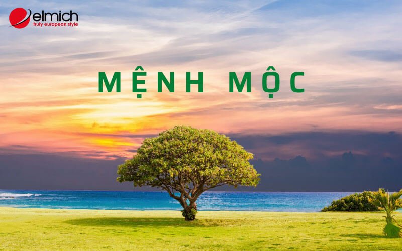 Hình 1: Tìm hiểu về người mệnh Mộc