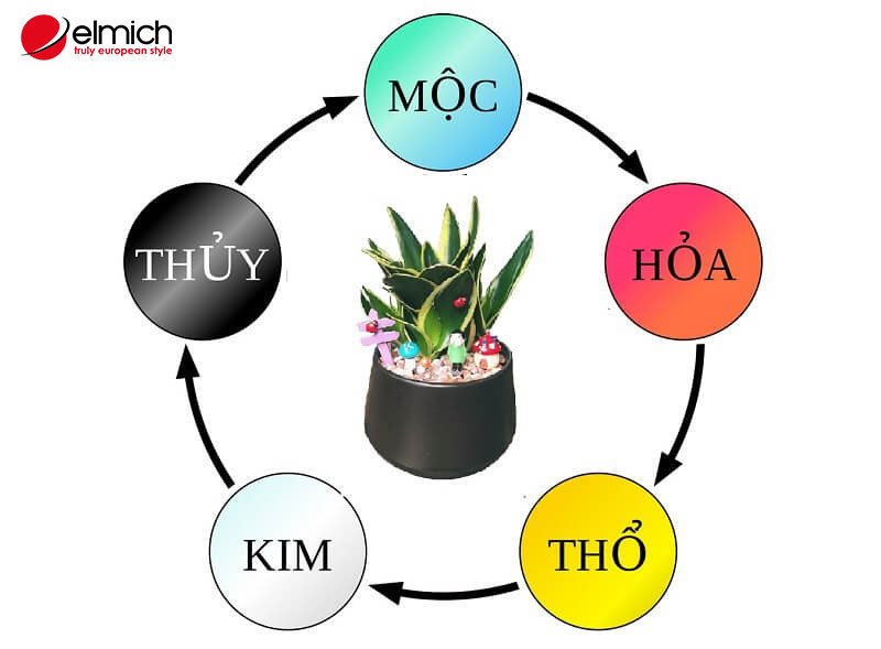 Hình 2: Nhiều người thắc mắc cây lưỡi hổ hợp mệnh gì? Hình 2: Nhiều người thắc mắc cây lưỡi hổ hợp mệnh gì?