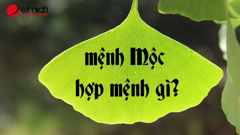 Hình 2: Giải mã mệnh Mộc hợp mệnh gì Hình 2: Giải mã mệnh Mộc hợp mệnh gì