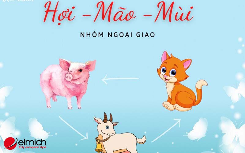 Hình 5: Nhóm tương trợ và ngoại giao tam hợp tuổi: Mão - Mùi - Hợi Hình 5: Nhóm tương trợ và ngoại giao tam hợp tuổi: Mão - Mùi - Hợi