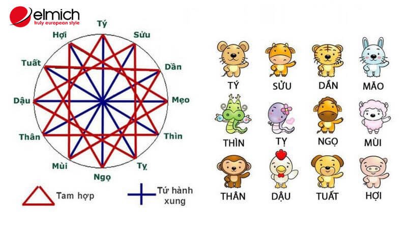 Hình 5: Hiểu về tam hợp và tứ hành xung 