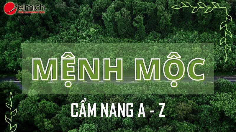 Hình 6: Bỏ túi cách chọn màu hợp phong thủy