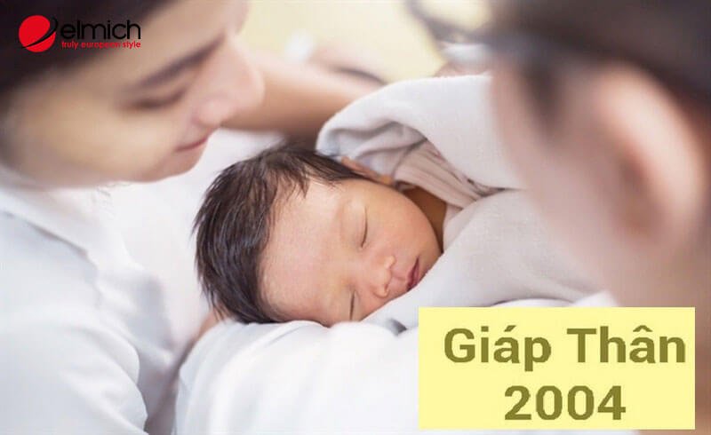 Hình 9: Những năm đẹp mà nữ 2004 nên sinh con Hình 9: Những năm đẹp mà nữ 2004 nên sinh con