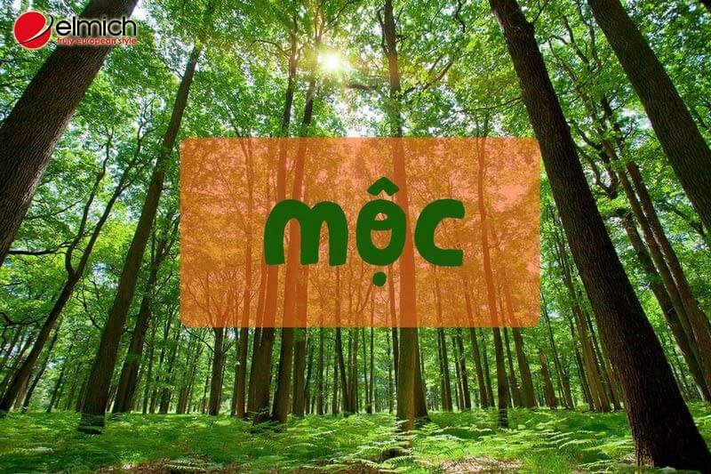 Hình 1: Mệnh Mộc chính là một trong 5 mệnh thuộc ngũ Hành: Kim, Mộc, Thủy, Thổ, Hỏa Hinh 1 Anh Trong Bai Viet