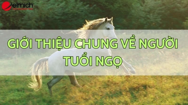 Hình 1: Giới thiệu sơ lược về người tuổi Ngọ theo phong thủy Hình 1: Giới thiệu sơ lược về người tuổi Ngọ theo phong thủy