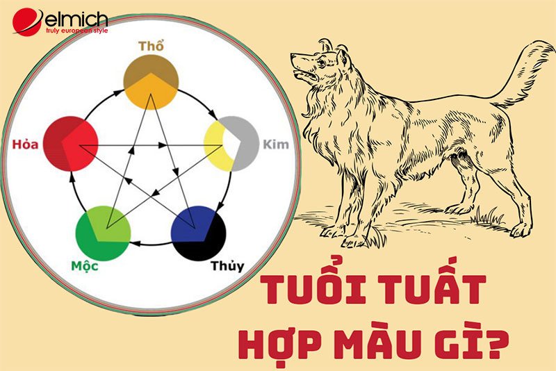 Hình 1: Tuổi Tuất hợp màu gì? Kỵ màu gì? Các cung mệnh của tuổi Tuất