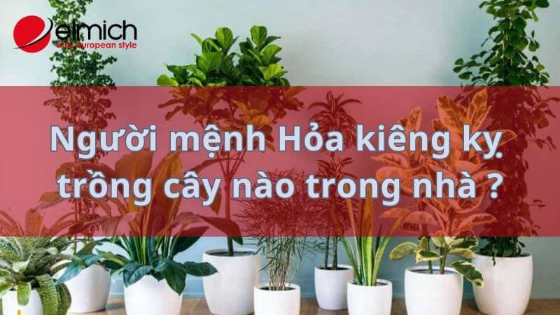Hình 13: Gia chủ mệnh Hỏa cấm kỵ trồng những loại cây nào