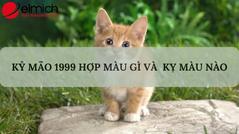 Hình 2: Tuổi mão hợp màu gì để thu hút nhiều tài lộc 2024