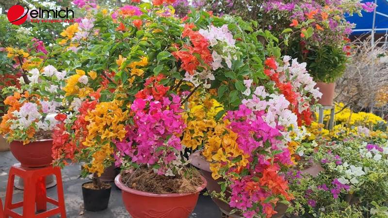 Hình 2: Phân loại bông giấy theo màu Hình 2: Phân loại bông giấy theo màu