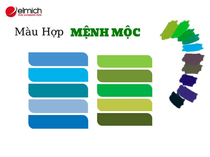 Hình 3: Mệnh Mộc hợp màu gì? Hình 3: Mệnh Mộc hợp màu gì?