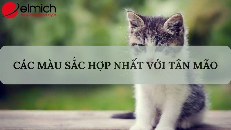 Hình 3: Tân Mão nên mang trang phục màu xanh lá để hóa giải điềm xui 