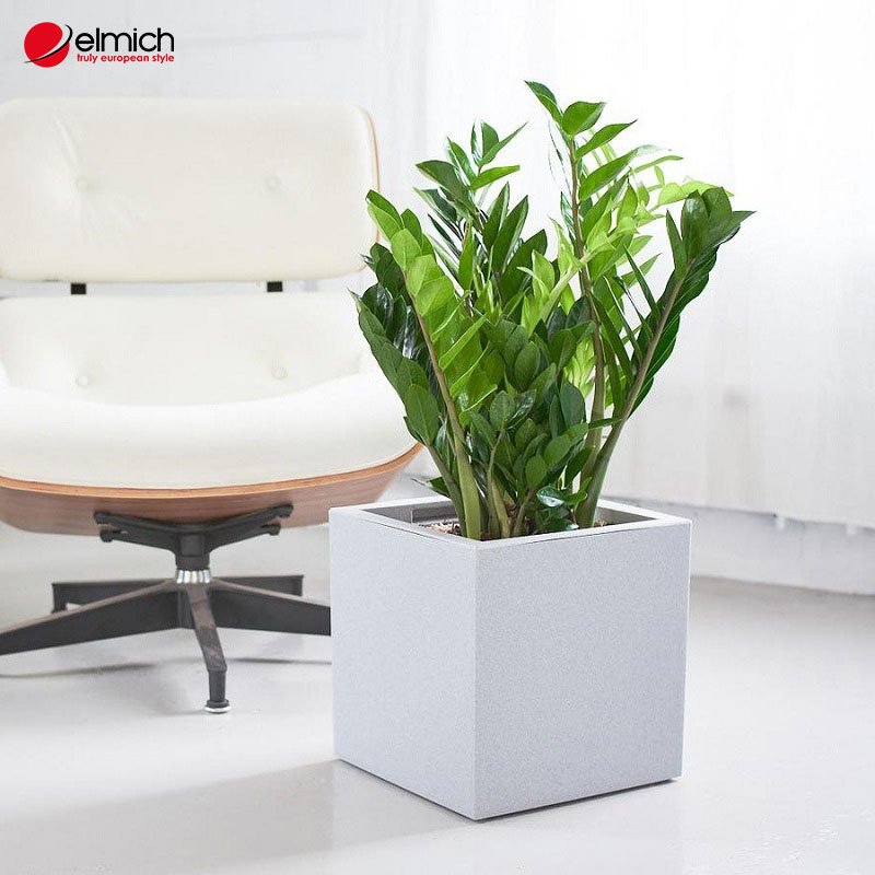 Hình 4: Loài kim tiền khắc với người mệnh Thủy Hình 4: Loài kim tiền khắc với người mệnh Thủy