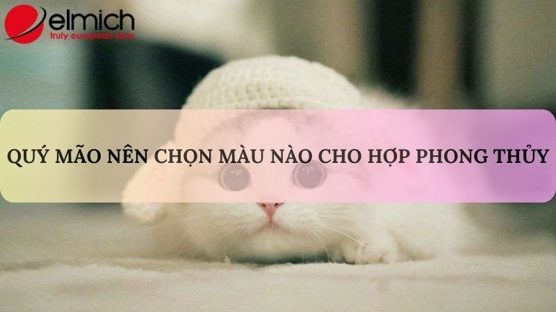 Hình 4: Chọn gam màu đất là phù hợp nhất với Quý Mão