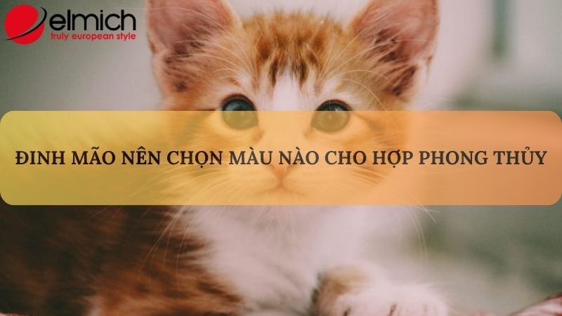 Hình 5: Gam màu nóng hợp phong thủy với người tuổi Đinh Mão