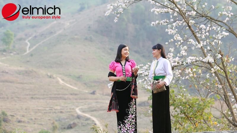 Hình 5: Cây ban có nhiều ứng dụng trong y học dân gian. Hình 5: Cây ban có nhiều ứng dụng trong y học dân gian.