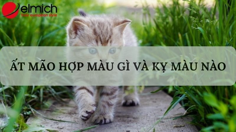 Hình 6: Ất Mão nên chọn màu hành Kim để làm tôn lên sự tinh tế của bản thân