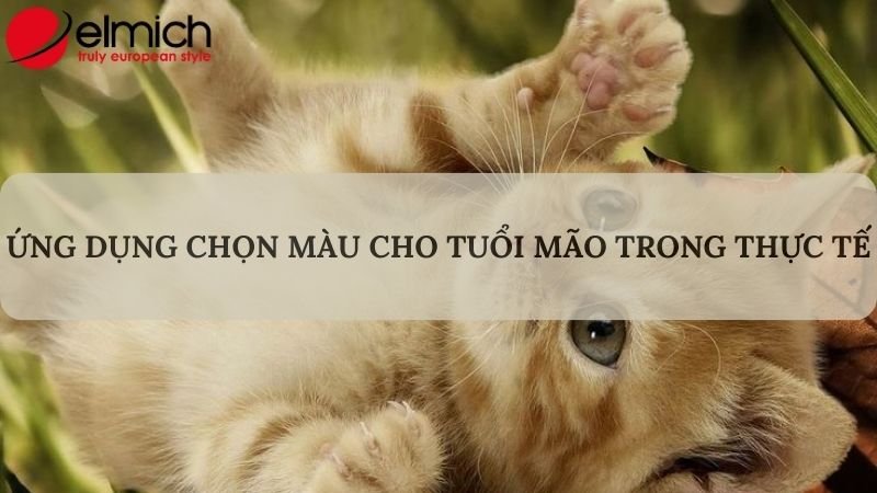 Hình 7: Một số trường hợp ứng dụng chọn màu hợp phong thủy cho tuổi Mão
